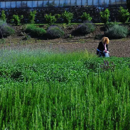 Coppi Rossi مزرعة للإقامة Torrazza (Liguria)