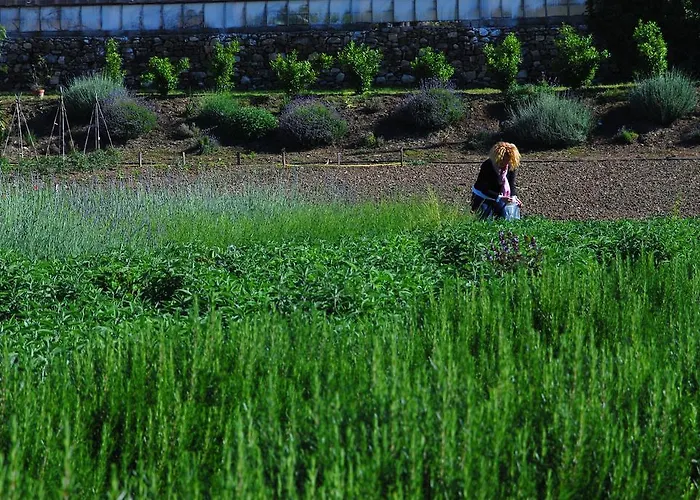 Coppi Rossi Κατάλυμα σε φάρμα Torrazza (Liguria)